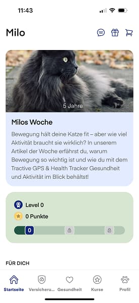 lassie-app-haustier lassie app haustier